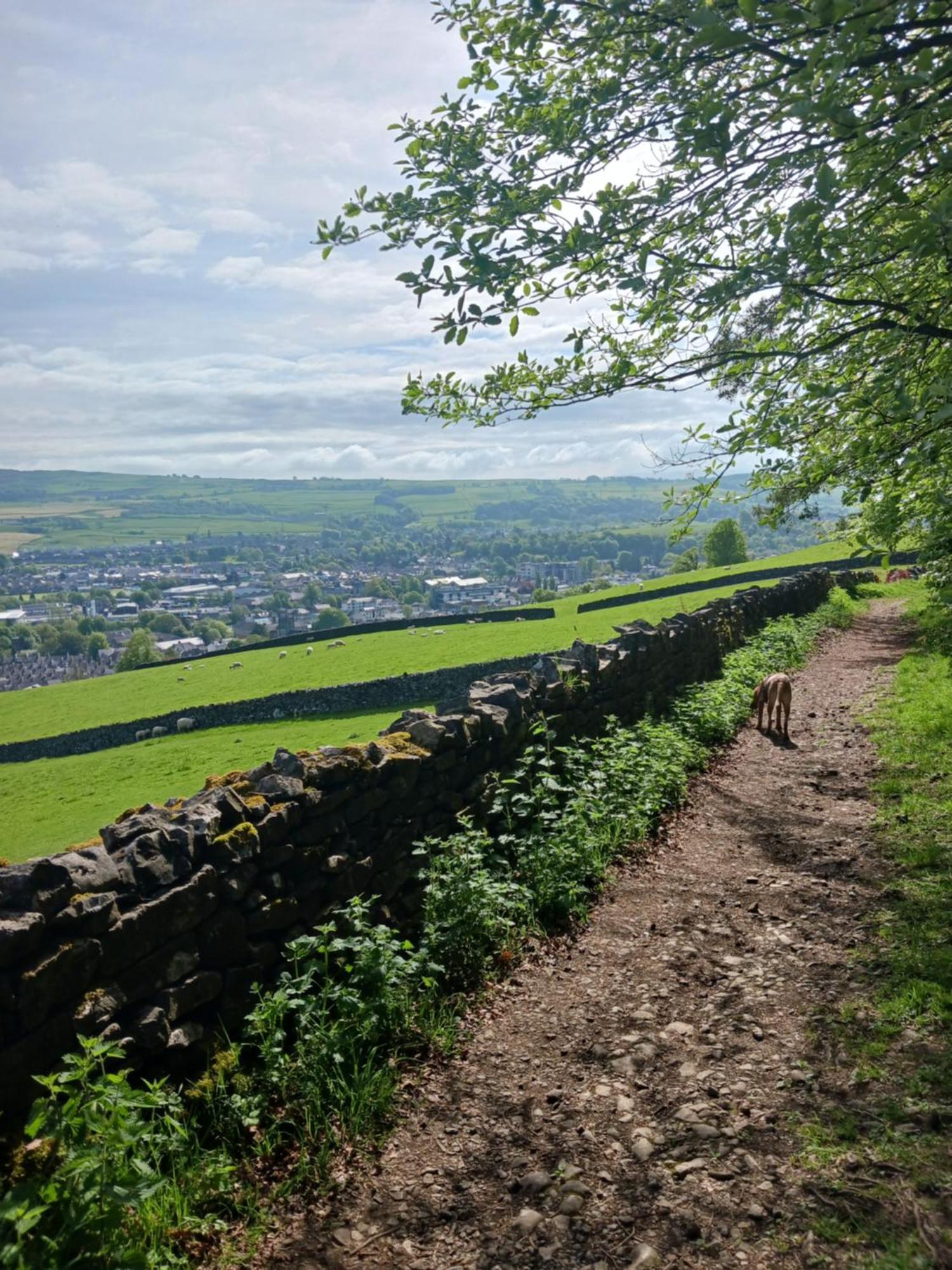 Arthurs Cottage -Charming Courtyard Cottage In The Heart Of Kendal, The Lake District Eksteriør billede