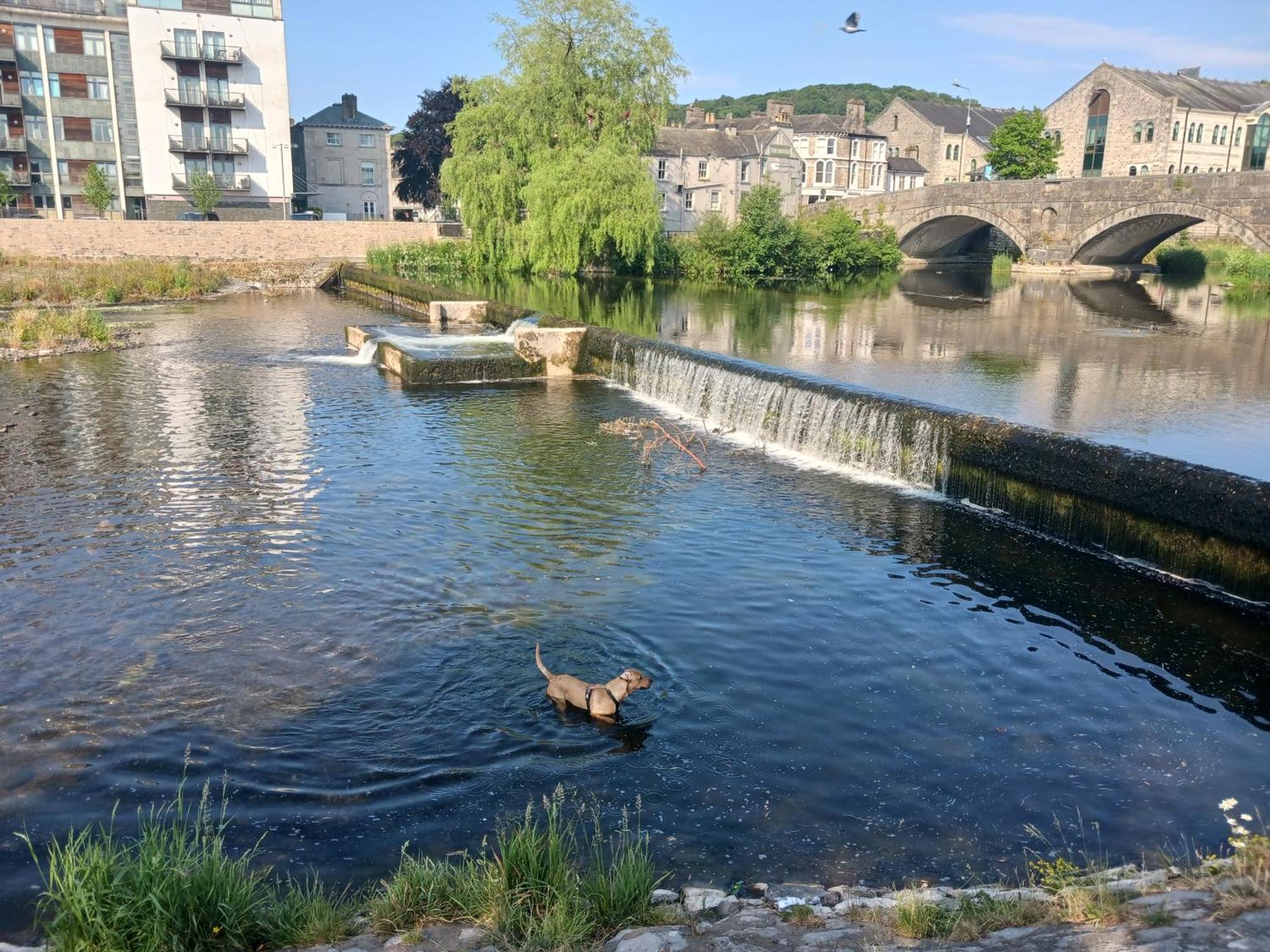Arthurs Cottage -Charming Courtyard Cottage In The Heart Of Kendal, The Lake District Eksteriør billede